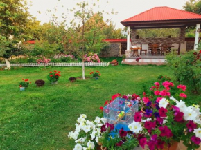 Vandam rental house